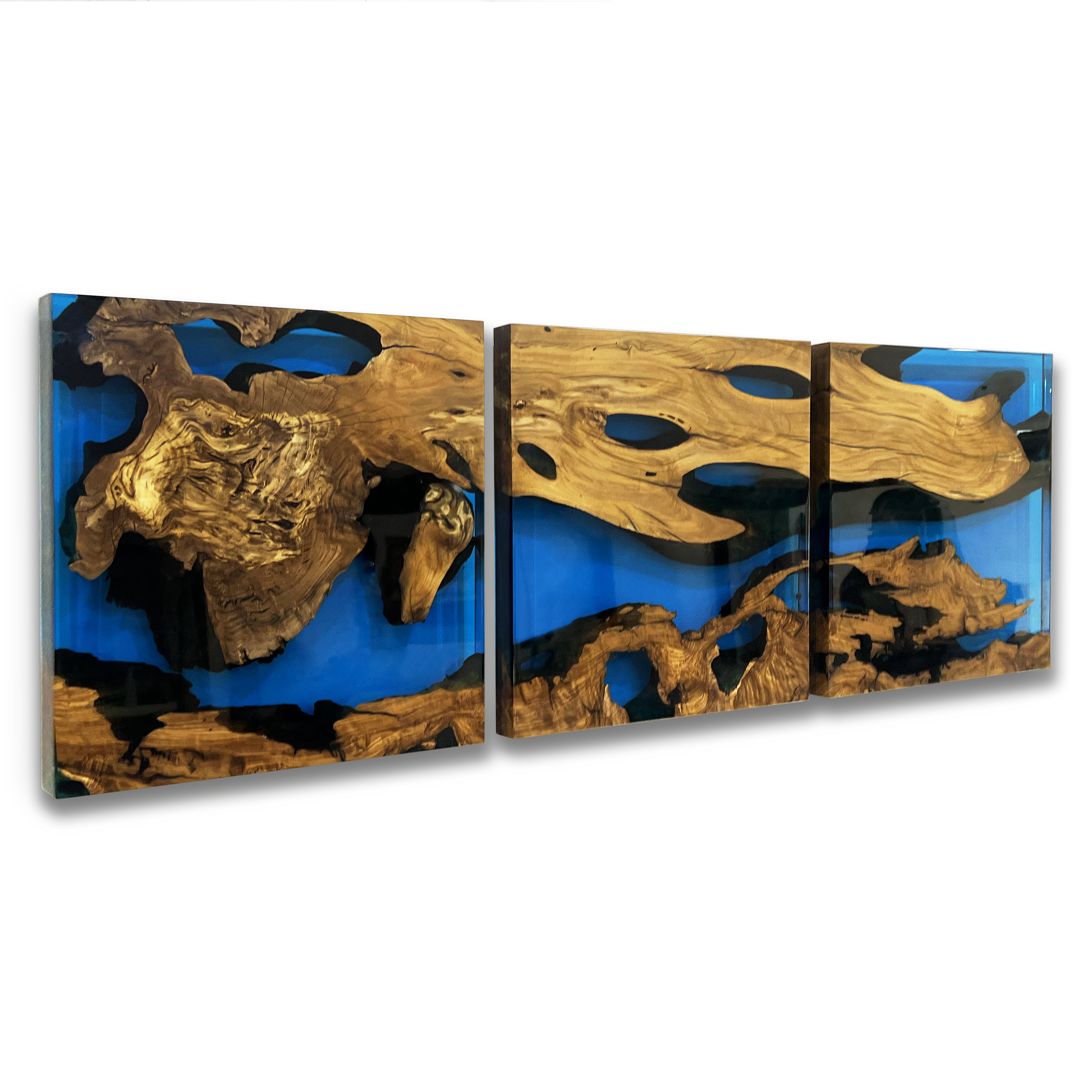 Blue Phaetusa Olive Wood Wall Art